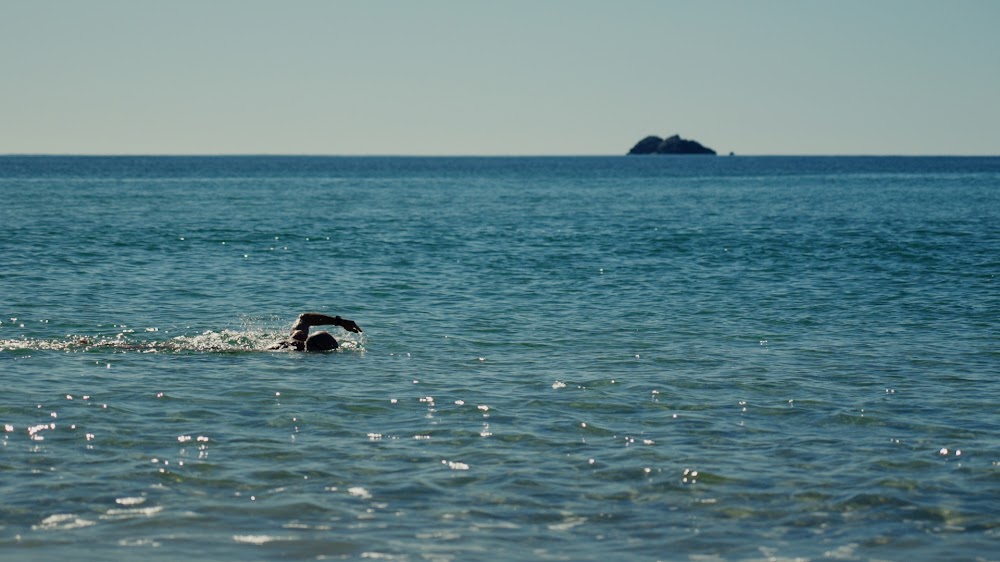 Swimming freestyle in open water toward the horizon