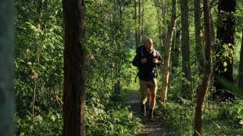 Running a forest trail in dappled morning light
