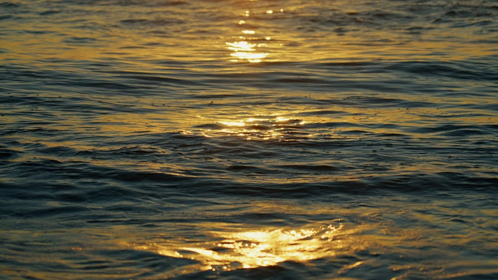 Golden sunlight rippling across open water at sunset
