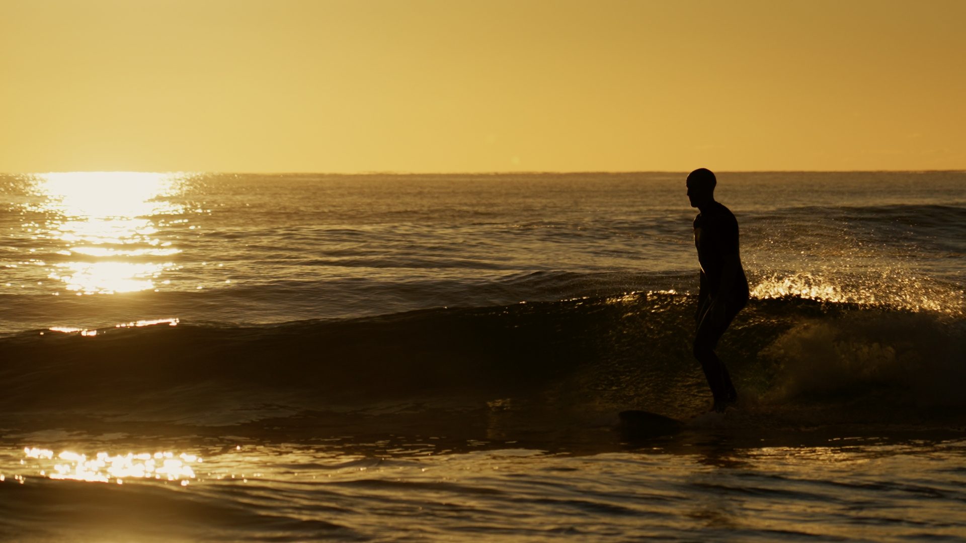 A surfer riding a wave in golden light